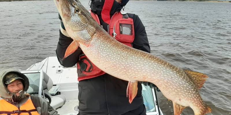 Горячая вода, пустой садок: когда и где ждать клева в Сургутском районе, и что советуют профи Горячая вода, пустой садок: когда и где ждать клева в Сургутском районе, и что советуют профи
