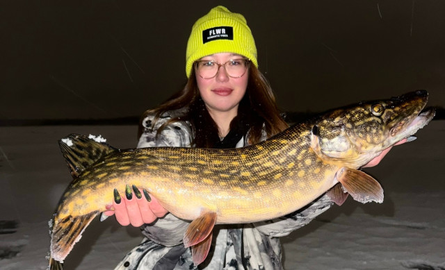 За спиной – десятки неудач: щуку-гиганта выловила рыбачка из ХМАО За спиной – десятки неудач: щуку-гиганта выловила рыбачка из ХМАО