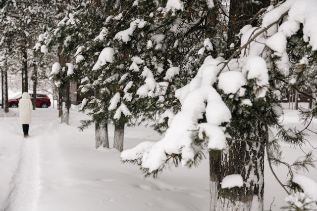 Во Внуково массово переносят рейсы из-за внезапного снегопада, задержаны борты из ХМАО