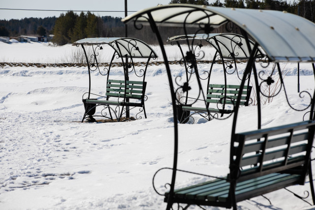 От мнения более шести тысяч жителей Сургутского района зависит судьба местных парков
