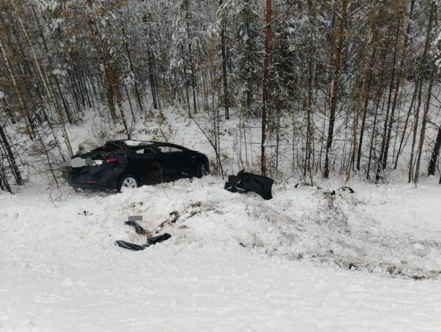Тормозила о деревья: в ХМАО легковушка вылетела в кювет, пострадали люди