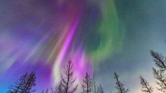 Охота за космосом: жительница ЯНАО рассказала, как и где поймать северное сияние