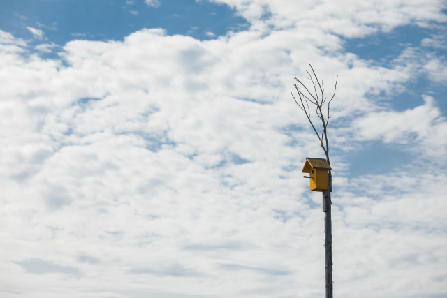 День, когда все снимут куртки: в ХМАО потеплеет до +20&deg;С