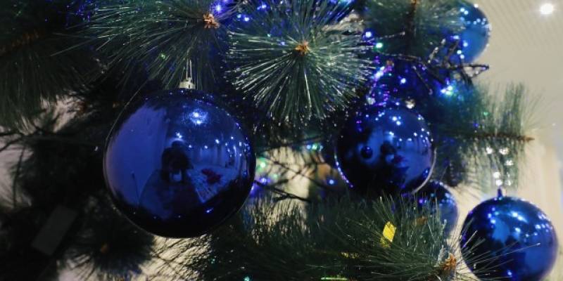 Как питаться в новогоднюю ночь, чтобы не оказаться в больнице, рассказали эксперты