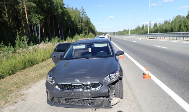 Медвежонок лишился жизни на оживленной трассе в ХМАО. ФОТО