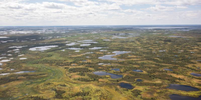 В болотах Сургутского района нашли новые объекты археологического наследия