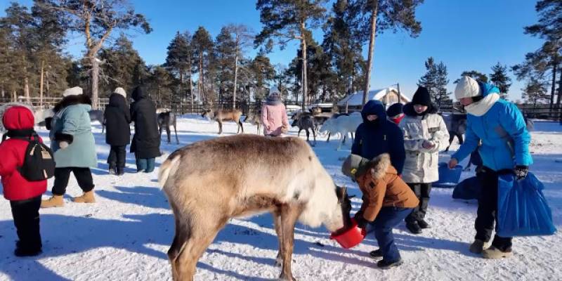 Ученые проанализировали климатические риски для регионов Севера
