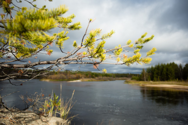 Лето раньше графика: в ХМАО воздух прогреется до +20&deg;C
