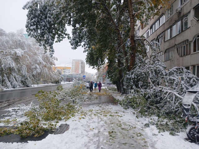 Несколько человек получили травмы из-за непогоды в Сургуте Несколько человек получили травмы из-за непогоды в Сургуте