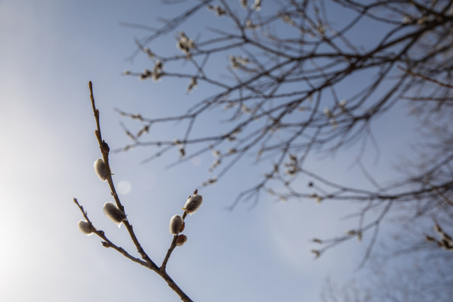 В Югру вернутся холода: столбики термометров опустятся до -23&deg;С