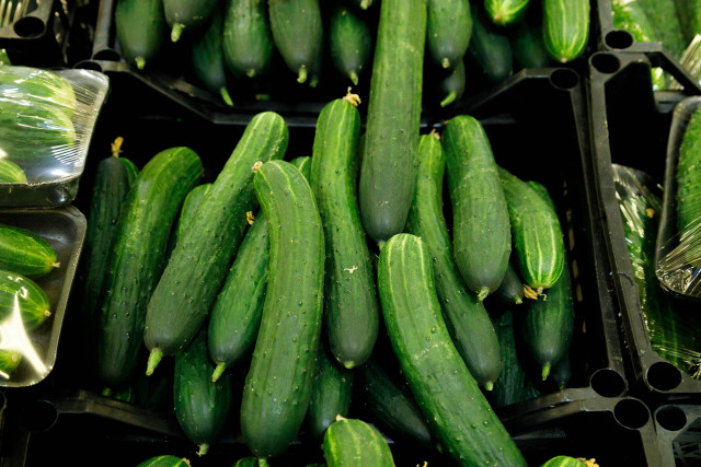 ФАС начала проверку из-за резкого подорожания огурцов в ХМАО и других регионах