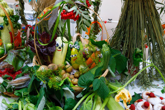 Когда сеять семена на рассаду в 2026 году