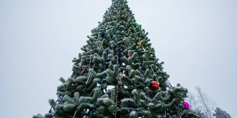 Сургут в декабре украсят к Новому году: адреса праздничных локаций Сургут в декабре украсят к Новому году: адреса праздничных локаций