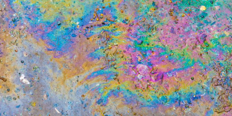 Природоохранная прокуратура нашла нарушения при строительстве моста через Обь в районе Сургута