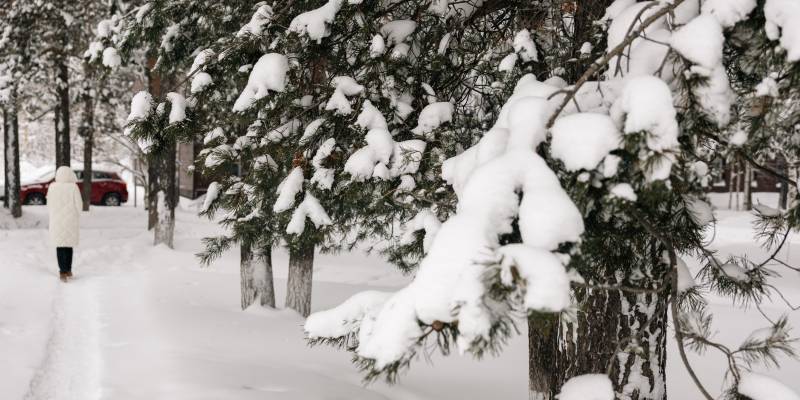 Во Внуково массово переносят рейсы из-за внезапного снегопада, задержаны борты из ХМАО
