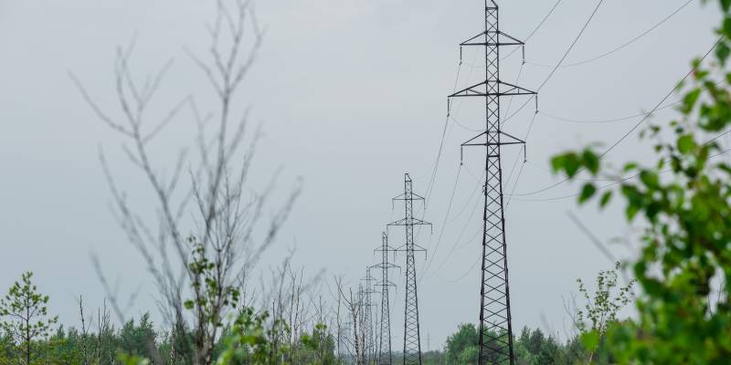 Бастрыкин заступился за дачников из Сургута, которым выставили неподъемные счета за электричество