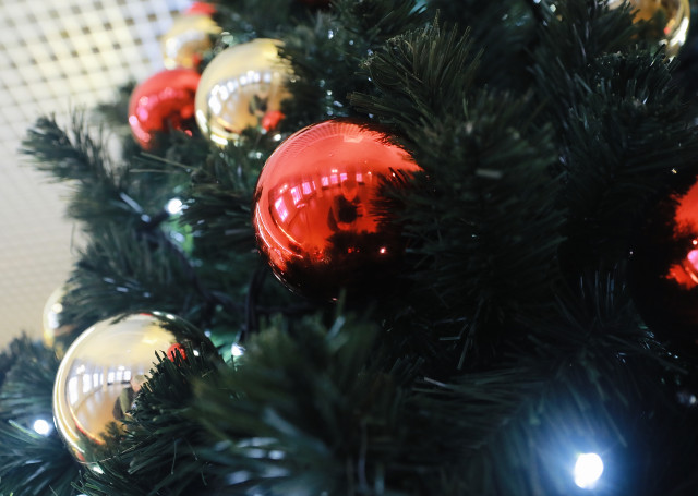 Хочешь елку – плати штраф: россиян предупредили о наказании за украшение подъездов