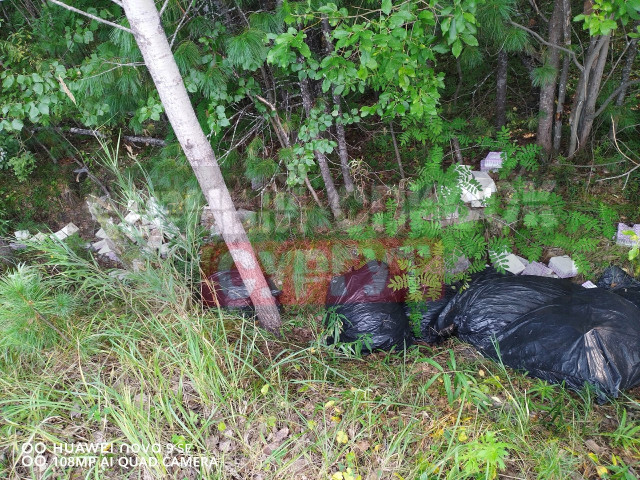 Свалку медицинских отходов нашли в Сургуте Свалку медицинских отходов нашли в Сургуте