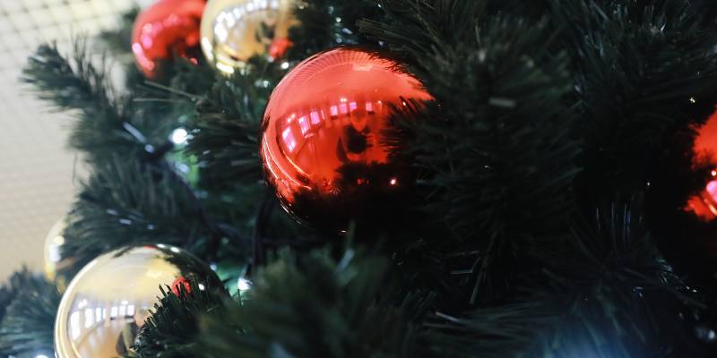 Хочешь елку – плати штраф: россиян предупредили о наказании за украшение подъездов