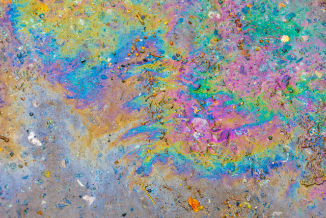 Природоохранная прокуратура нашла нарушения при строительстве моста через Обь в районе Сургута