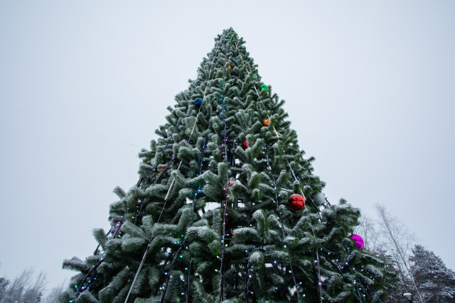 Матчем по хоккею в валенках между отцами встретят зиму в Сургутском районе