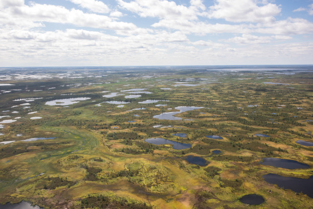 В болотах Сургутского района нашли новые объекты археологического наследия