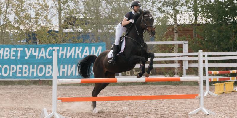 От выездки до прыжков: в Белом Яре прошел &laquo;Кубок Сургутского района&raquo; по конному спорту
