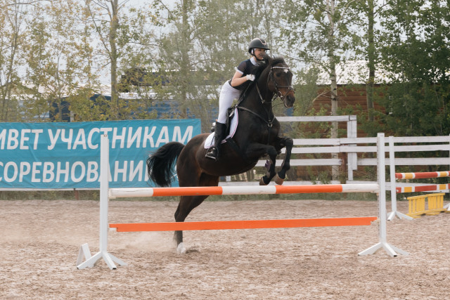 От выездки до прыжков: в Белом Яре прошел «Кубок Сургутского района» по конному спорту От выездки до прыжков: в Белом Яре прошел «Кубок Сургутского района» по конному спорту