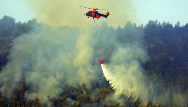 В России посчитали ущерб от лесных пожаров