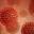 В Югре за сутки выявили 127  случаев заражения коронавирусом