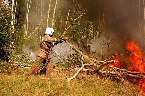 Как уберечь себя от пожара в Сургутском районе?