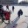 Белоярцы отличились в Первенстве Сургутского района по хоккею