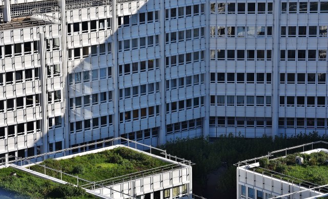 В Екатеринбурге планируют озеленить крыши зданий