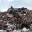 В Тюмени эвакуировали мусоросортировочный завод из-за обнаруженной мины