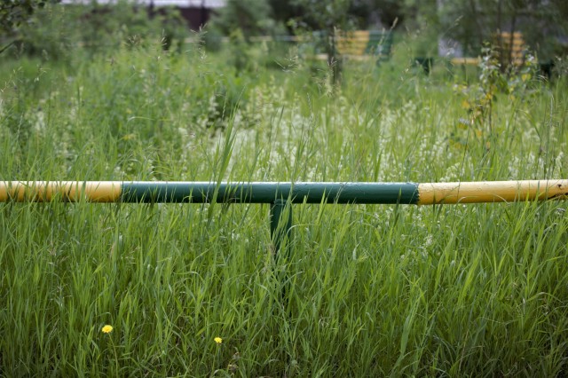 В Сургуте жители жалуются на нескошенную траву