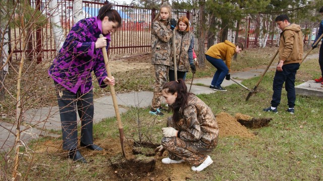 ​В Сайгатиной посадили кустарники и деревья