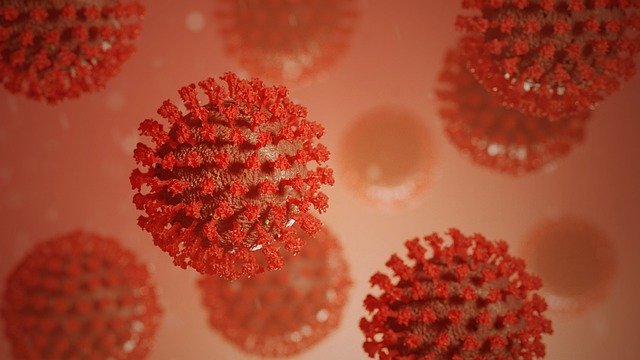 В ХМАО за сутки коронавирусом заразились 65 человек