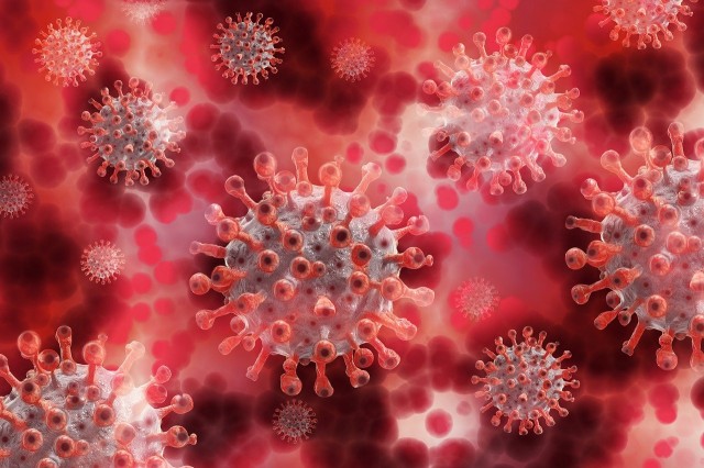В Югре за сутки коронавирусом заболели ещё 76 человек