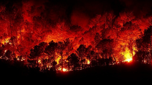 Самая сложная лесопожарная обстановка в ХМАО ожидается в августе