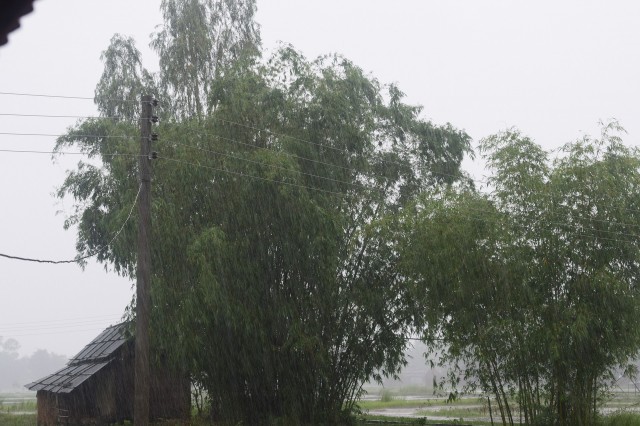 Из-за дождей в Челябинске затопило десятки домов