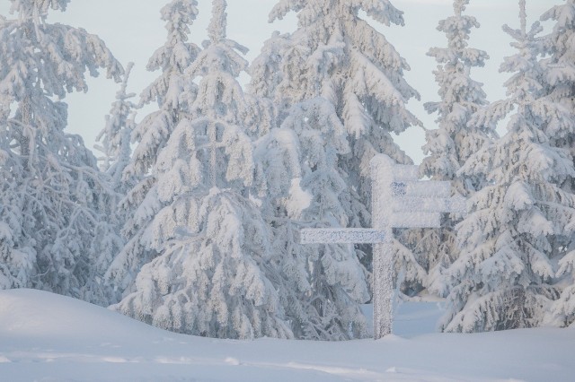 В Оренбургской области на Новый год ожидается сильный снегопад