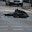 На окраине подмосковного Серпухова разбился мотоциклист в ДТП с такси