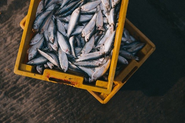 В Красноярске рыбакам напомнили об особенности майской рыбалки
