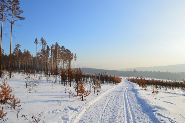 ​В Сургутском районе обустроят 63 км зимников