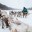 52-й День оленевода в Русскинской могут провести в марте