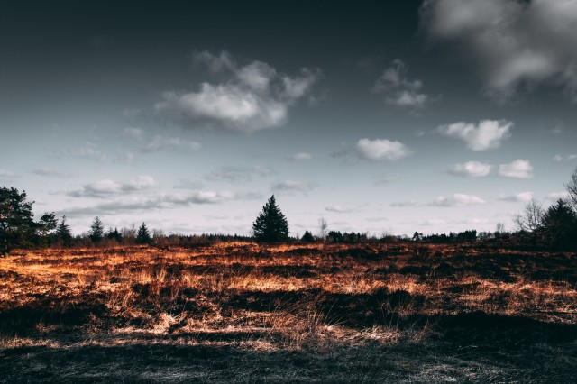 Из-за поджога сухой травы в Заволжье загорелась несанкционированная свалка