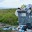 В Локосово ликвидируют несанкционированные свалки мусора