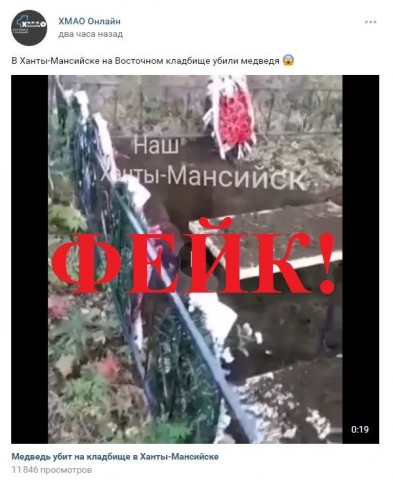 Видео с убитым на кладбище в ХМАО медведем оказалось фейком