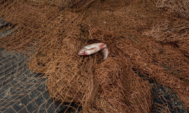 В ХМАО начинает действовать запрет на рыбалку из-за нереста
